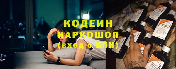 ГАЛЛЮЦИНОГЕННЫЕ ГРИБЫ Ельня