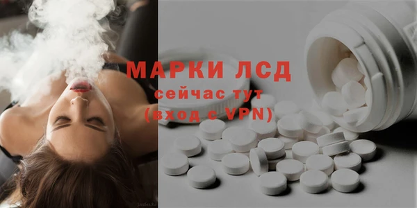 ГАЛЛЮЦИНОГЕННЫЕ ГРИБЫ Ельня