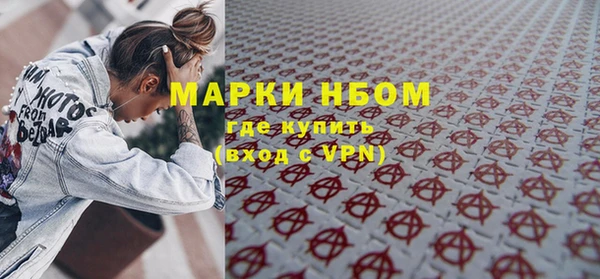 ГАЛЛЮЦИНОГЕННЫЕ ГРИБЫ Ельня