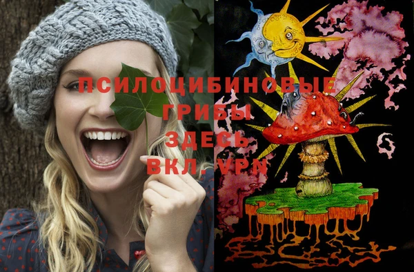 МДМА Елизово