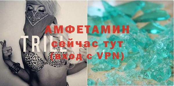ГАЛЛЮЦИНОГЕННЫЕ ГРИБЫ Ельня