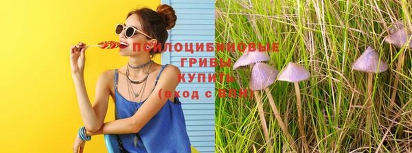 МДМА Елизово