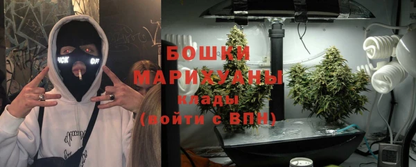 ГАЛЛЮЦИНОГЕННЫЕ ГРИБЫ Ельня