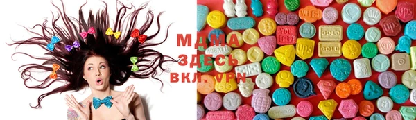 ГАЛЛЮЦИНОГЕННЫЕ ГРИБЫ Ельня