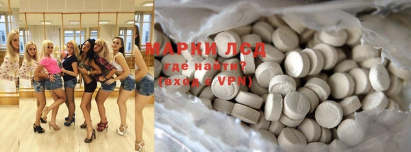 ГАЛЛЮЦИНОГЕННЫЕ ГРИБЫ Ельня