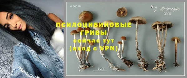 ГАЛЛЮЦИНОГЕННЫЕ ГРИБЫ Ельня