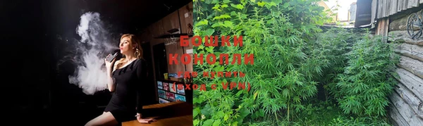 ешки Елабуга