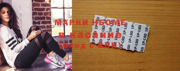 ГАЛЛЮЦИНОГЕННЫЕ ГРИБЫ Ельня